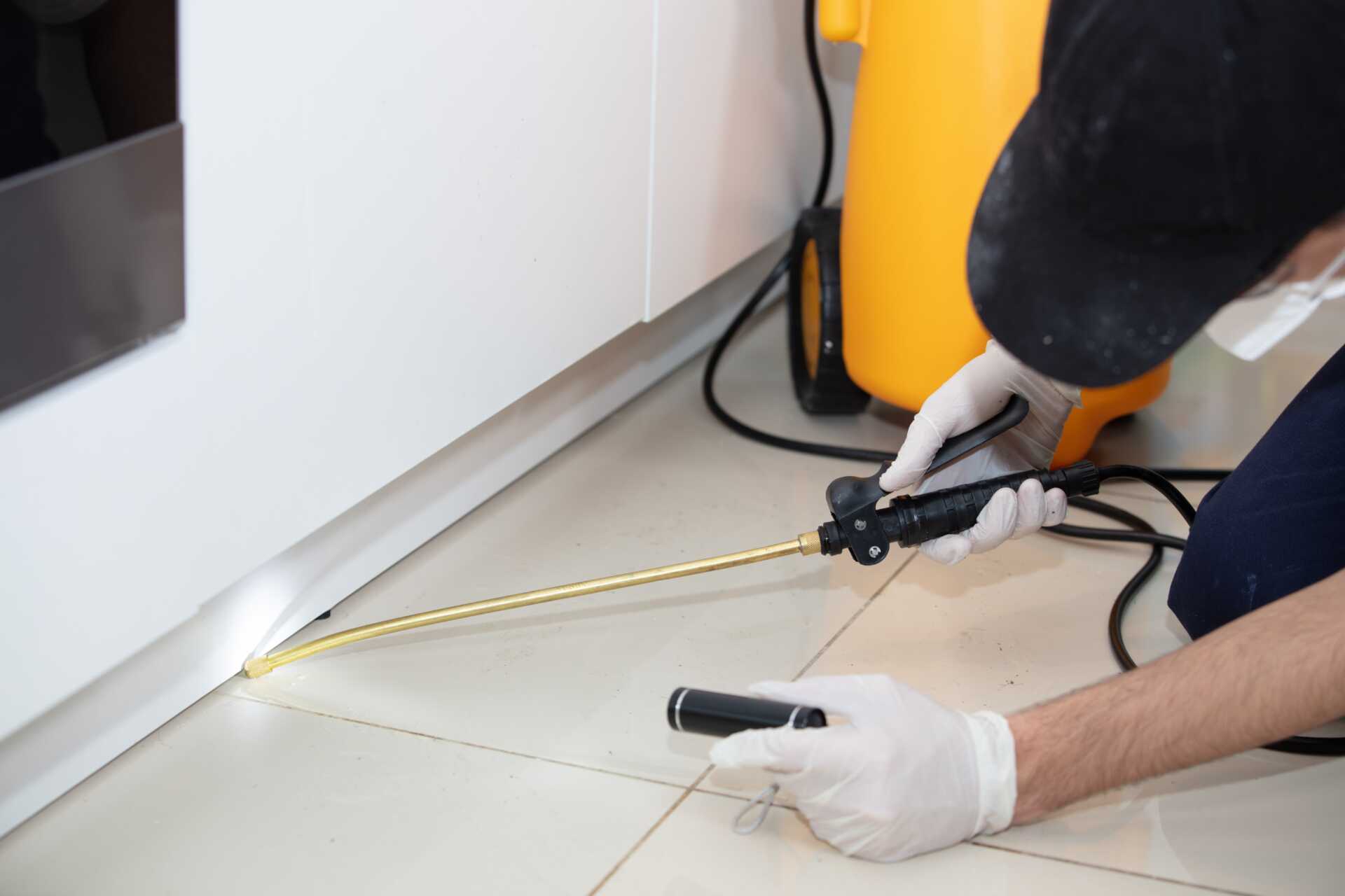 10 Tips for Certified Pest Control After Flooding
