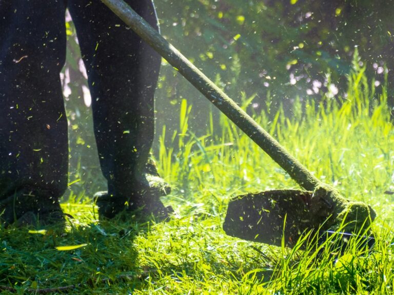 Learn how to prepare a lawn for winter.