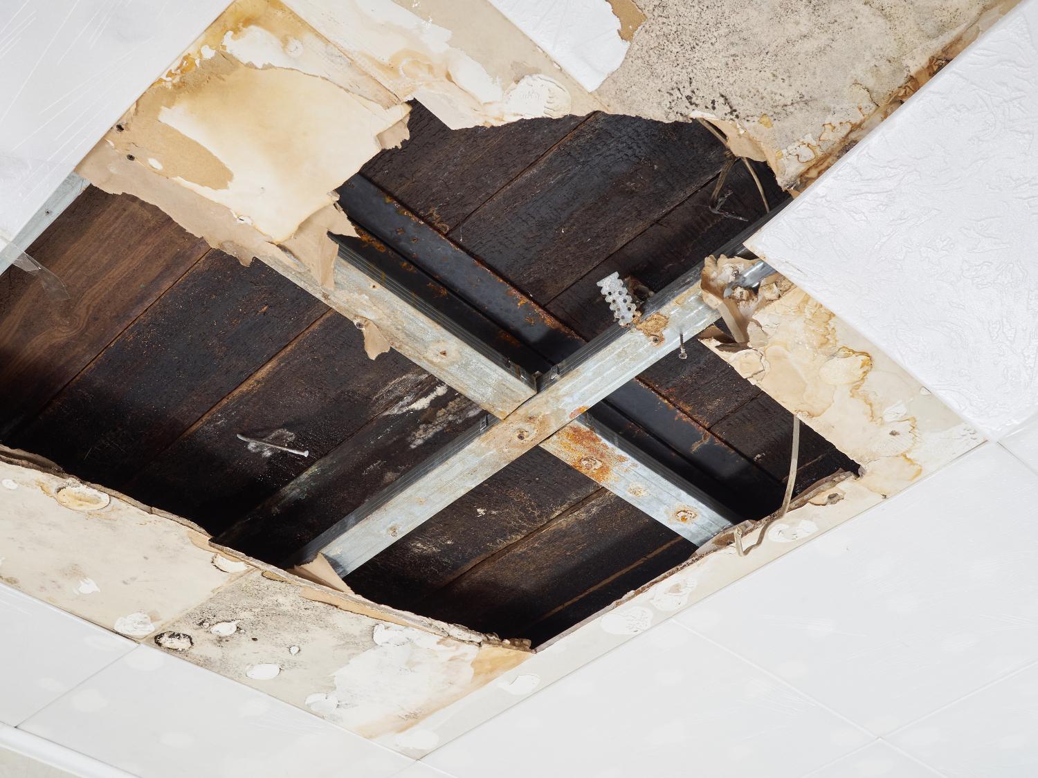 Comprehensive Water Damage Repair Guide: 10 Essential Tips