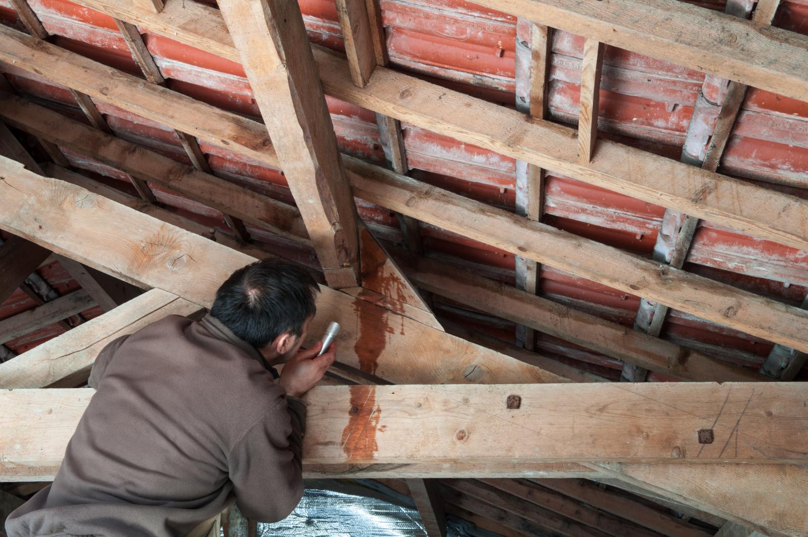 Top Tips for Effective Roof Inspection Techniques