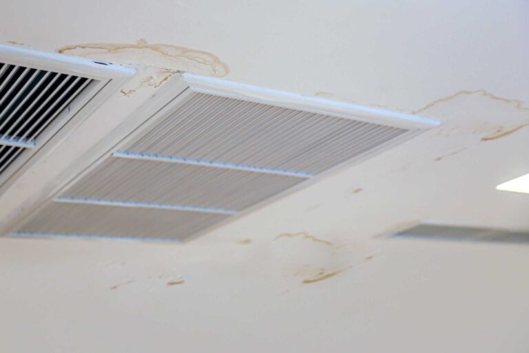 Budget-Friendly Water Damage Help Is Just Around The Corner