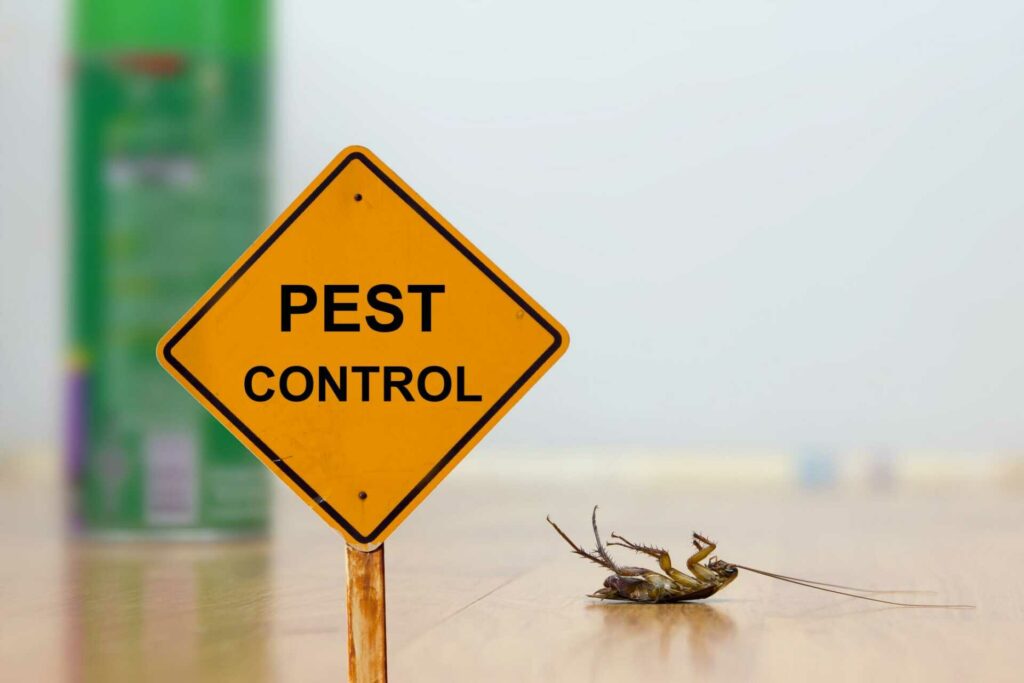 Eco-Friendly Pest Control Methods for Homes