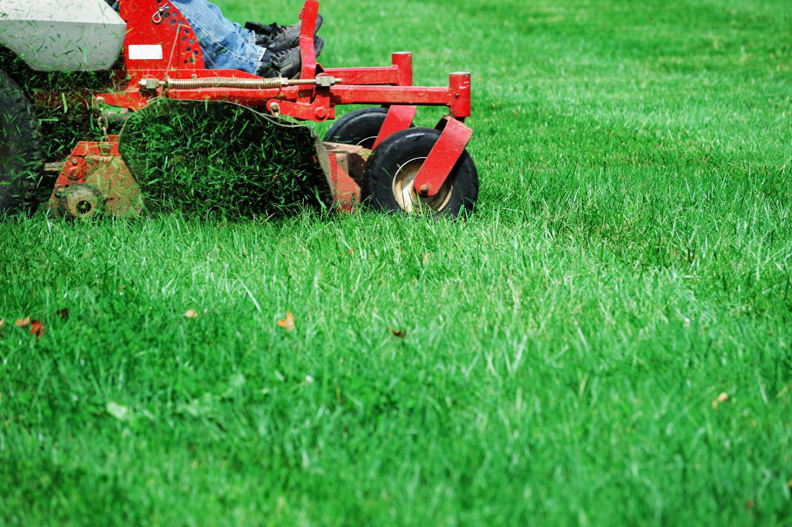 Spring Lawn Care: Tips for Water Conservation