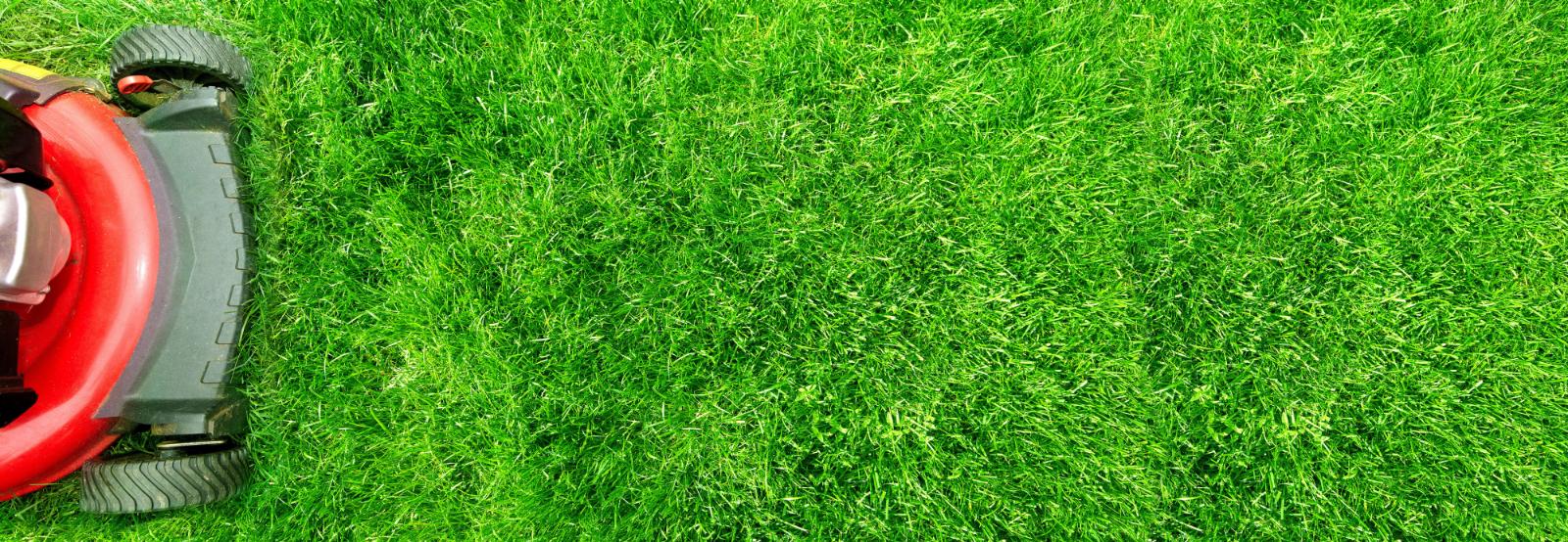 Why Is Sustainable Spring Lawn Care Important?