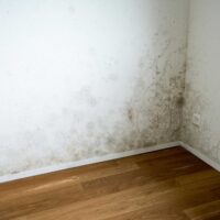 Effective Residential Drywall Mold Remediation Techniques