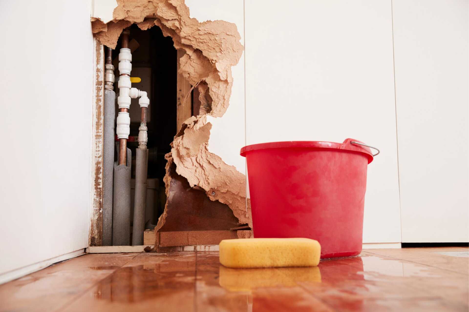 DIY Water Damage Repair: Step-by-Step Guide
