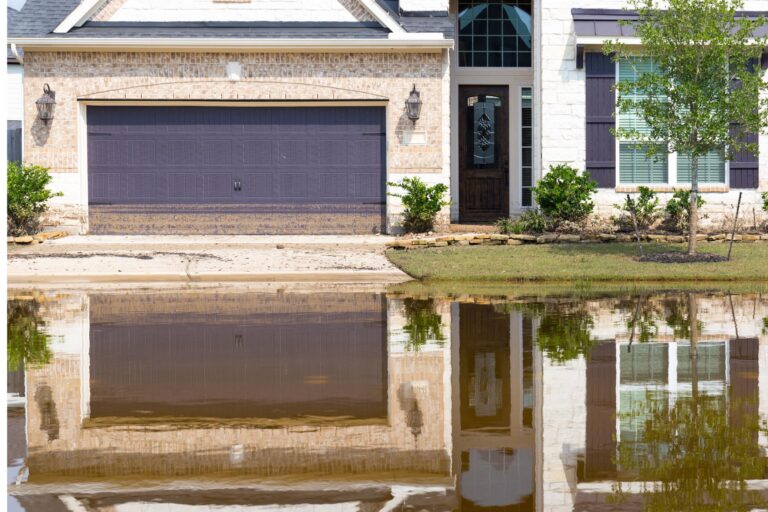 Top 3 Budget-Friendly Flood Restoration Services