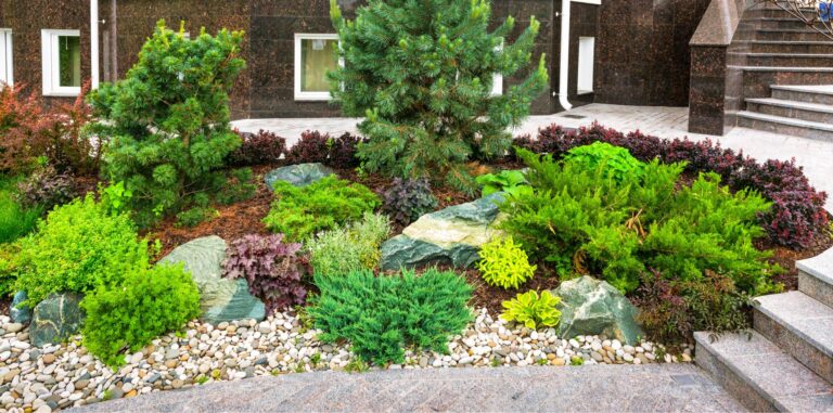 5 Eco-Friendly Landscape Design Tips for Your Home