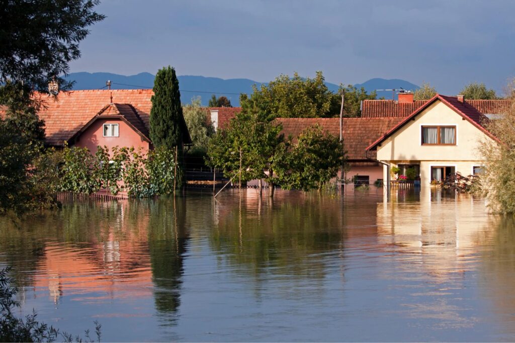 Budget-Friendly Local Water Damage Restoration Services