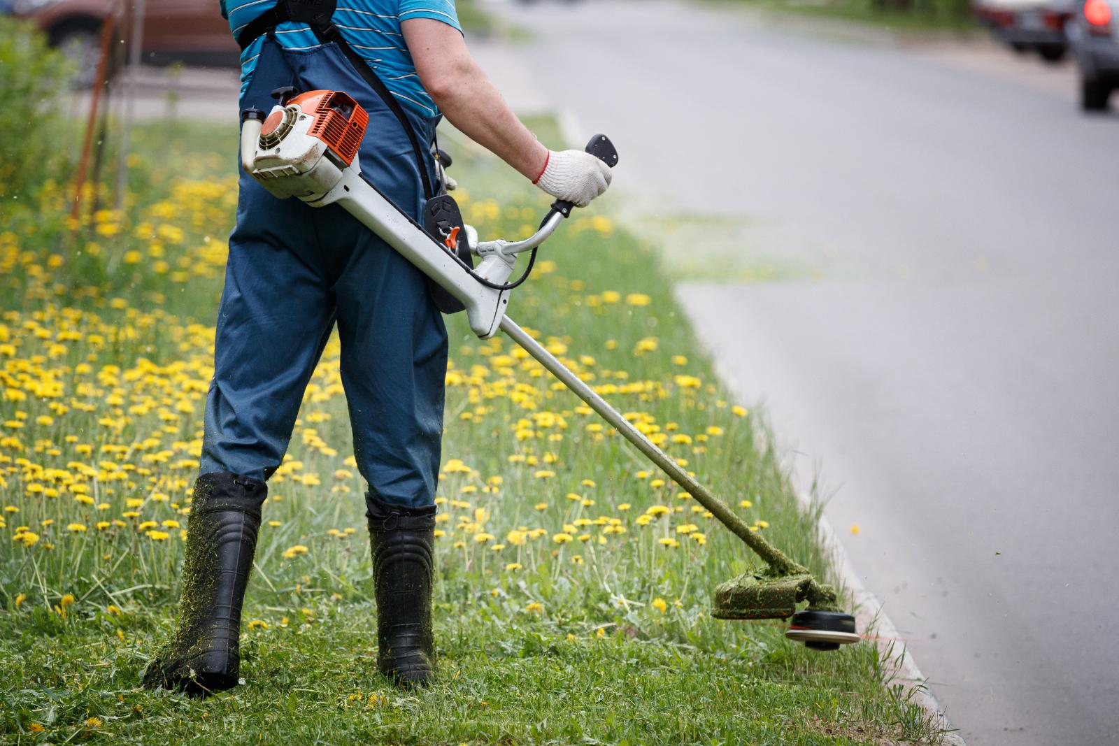 What Are the Benefits of Lawn Aeration?