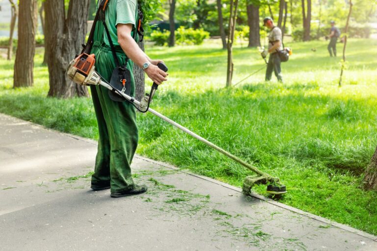 Maximizing Grass Health Through Soil Aeration Guide