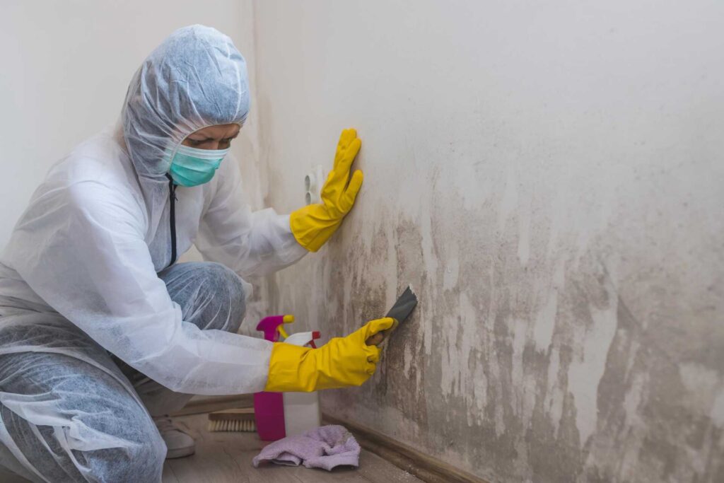 Top 5 Expert Mold Restoration Tips After Water Damage