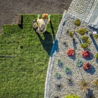 What Are the Best Backyard Maintenance Services?