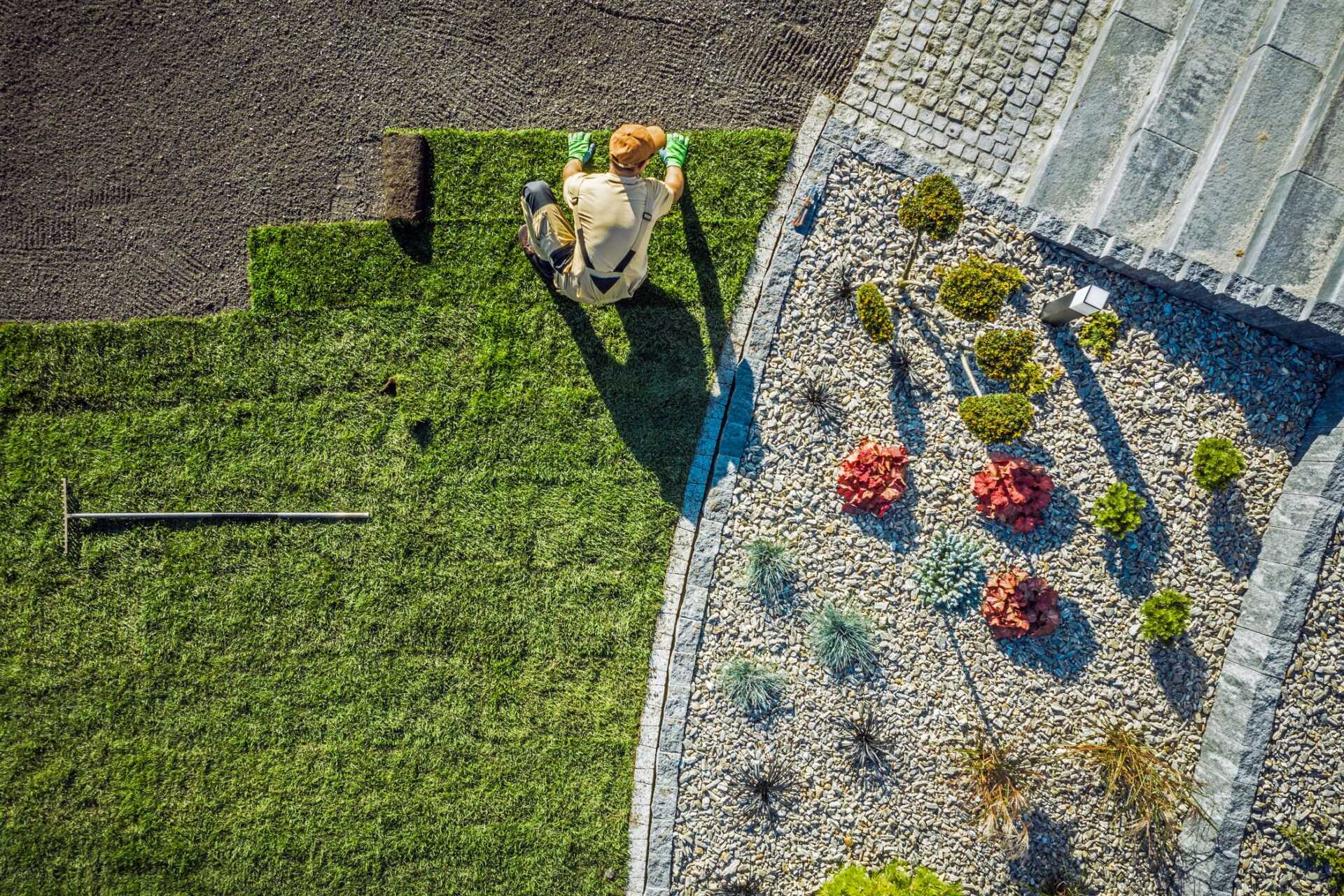 What Are the Best Backyard Maintenance Services?