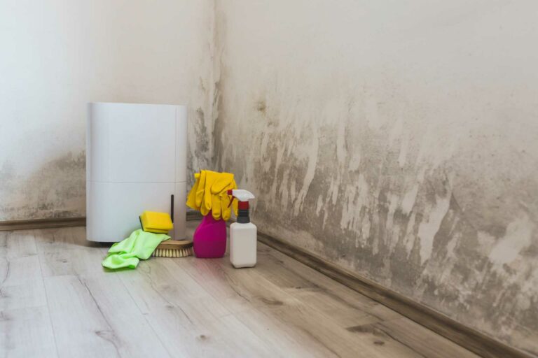 The Vital Role of Professional Water Damage Repair