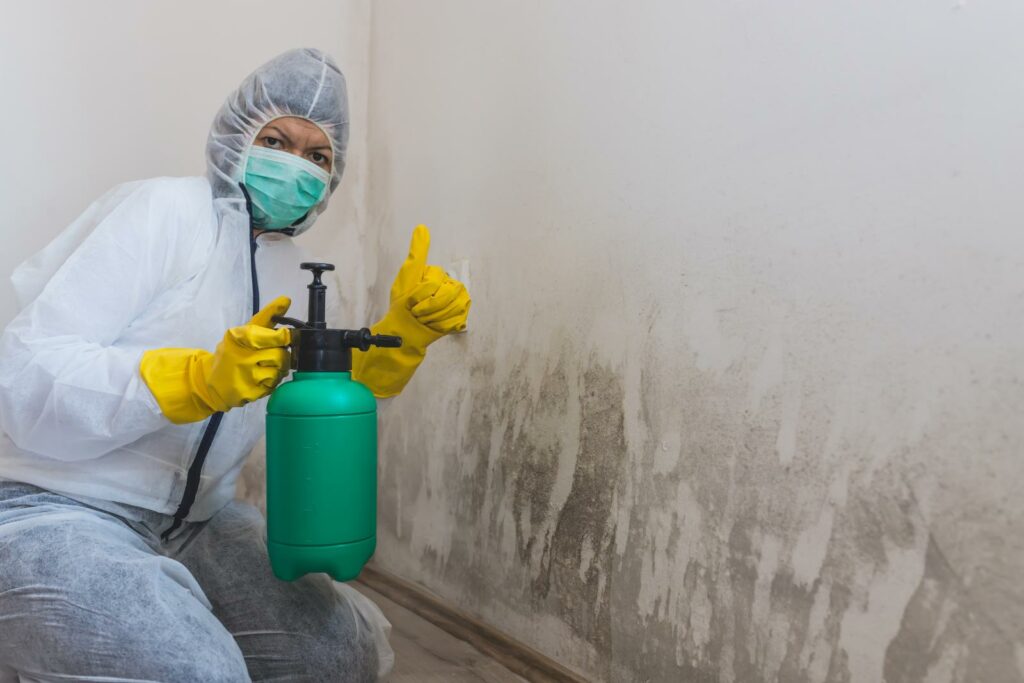 What Is the Most Effective Mold Removal Method?