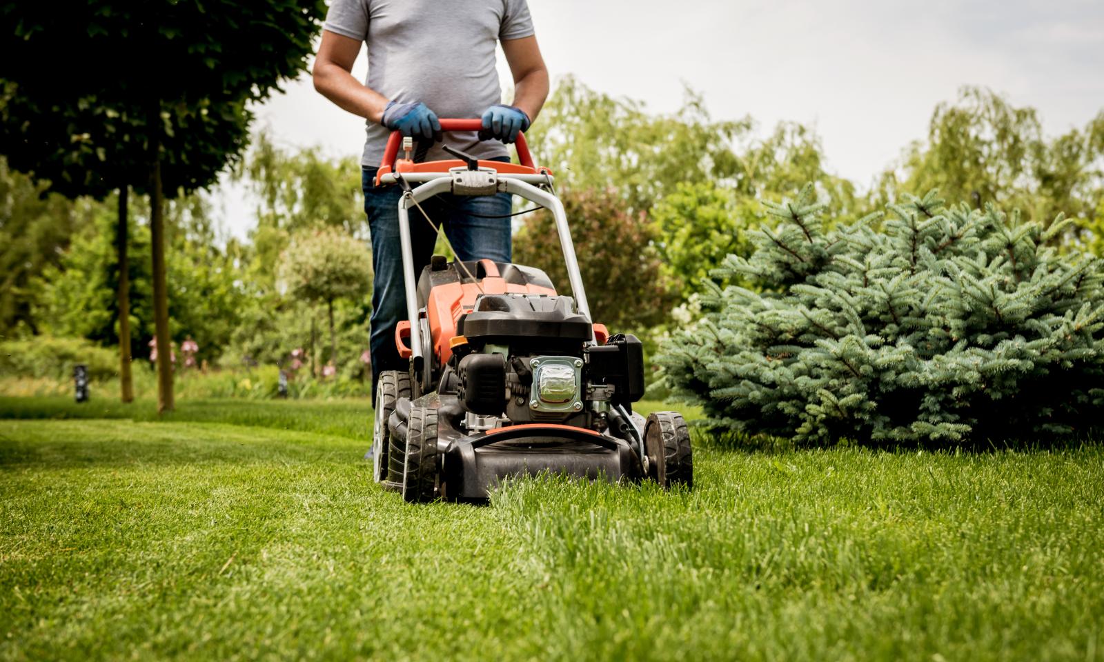 3 Ways to Conserve Water in Lawn Care