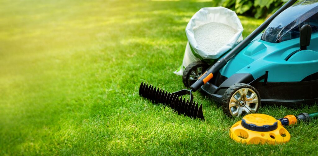 Top Tips for Eco-Friendly Spring Lawn Care