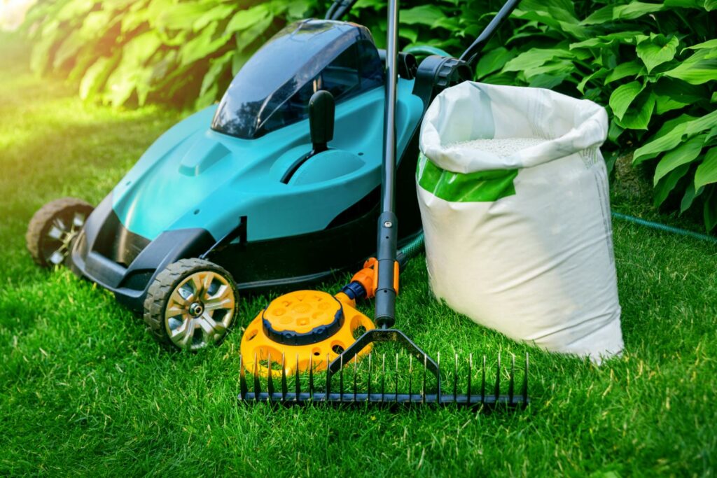 What Are the Best Tips for Spring Lawn Care?
