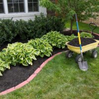 DIY Backyard Maintenance: Cost-Saving Tips