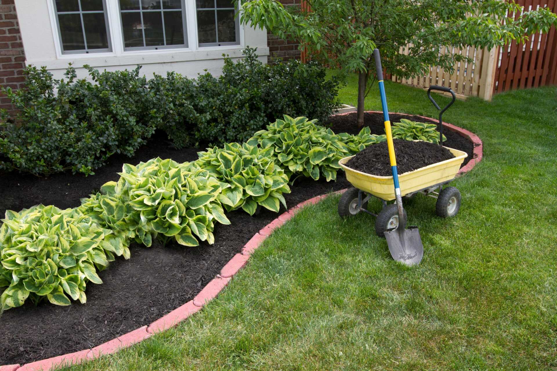 DIY Backyard Maintenance: Cost-Saving Tips