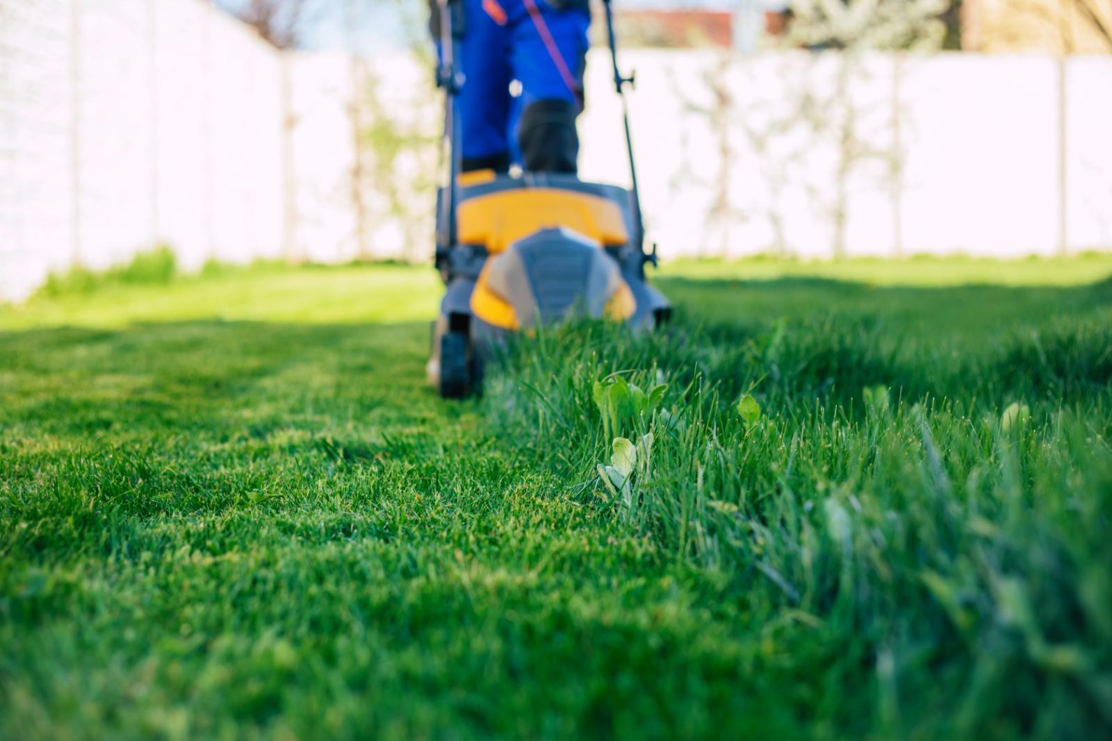 Enhancing Grass Health Through Soil Aeration Techniques