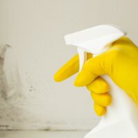 Top Tips for Residential Drywall Mold Remediation