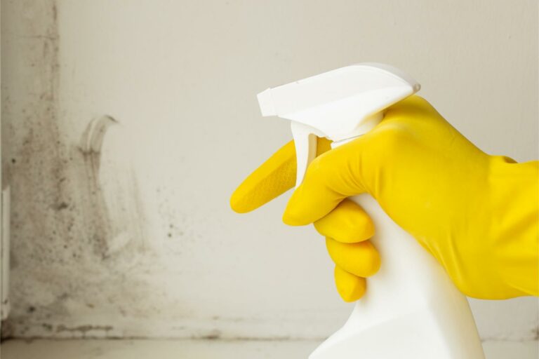 Top Tips for Residential Drywall Mold Remediation