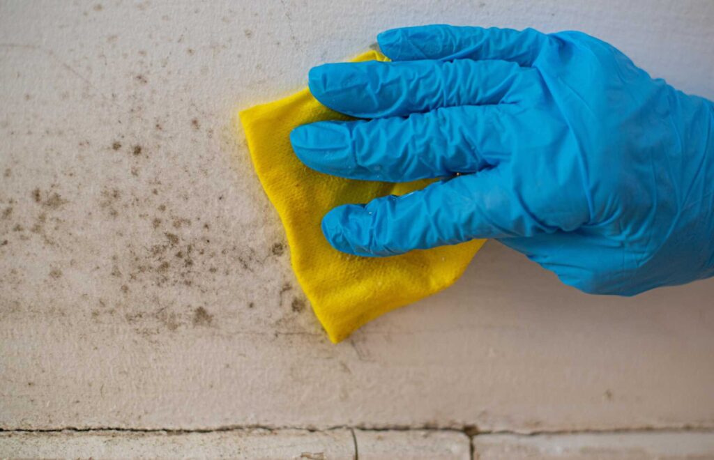 Why Is Residential Drywall Mold Remediation Essential?