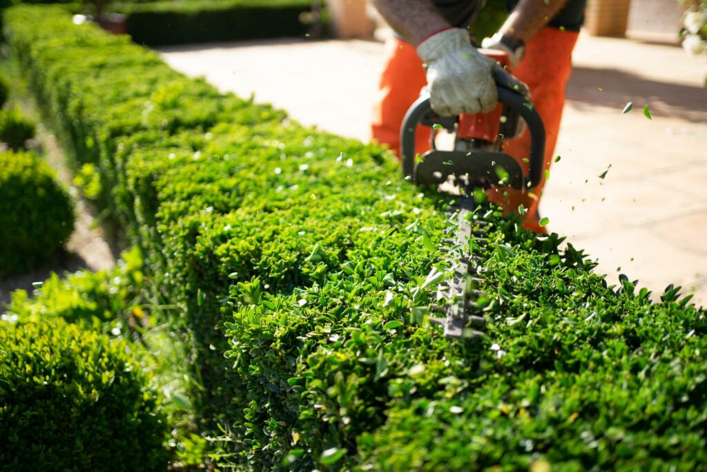 Why Is Water Conservation Important for Spring Lawn Care?