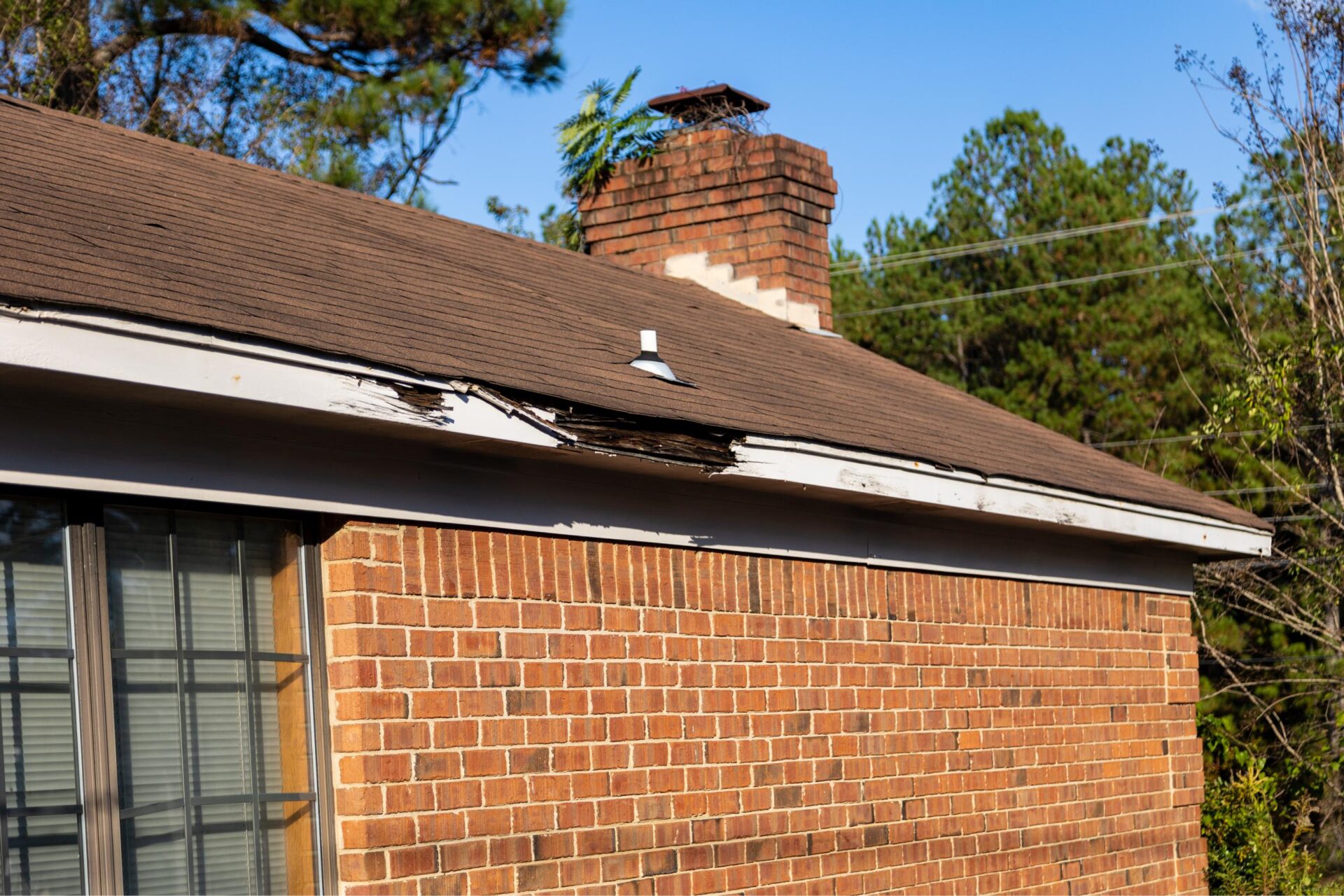 Find Local Roofing and Restoration Services Today
