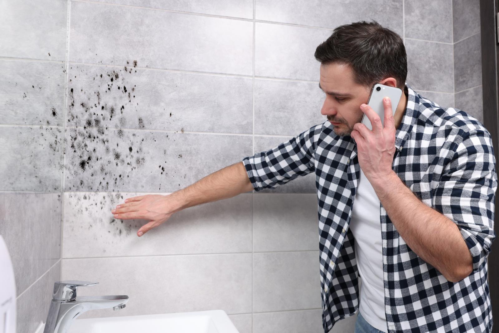 10 Tips for Effective Mold Removal After Water Damage