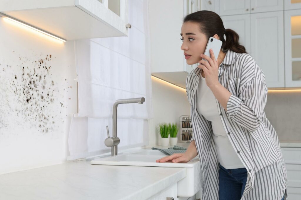 Top 5 Local Mold Cleanup Services Tips
