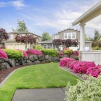 Budget-Friendly Backyard Maintenance Services for Homeowners