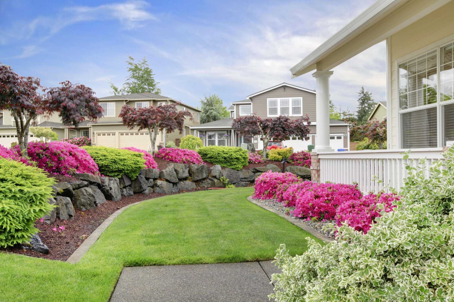 Budget-Friendly Backyard Maintenance Services for Homeowners