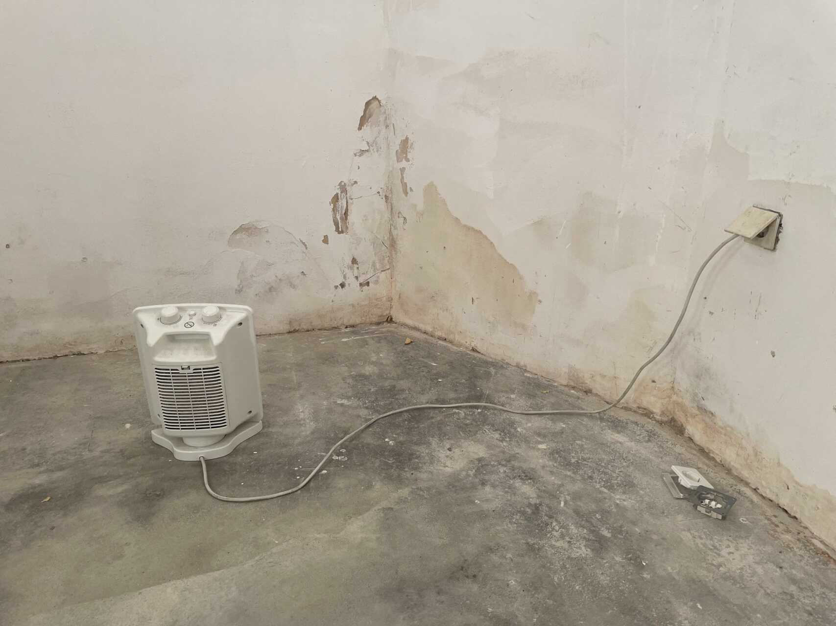 Combatting Mold Growth Post Water Damage: 7 Strategies