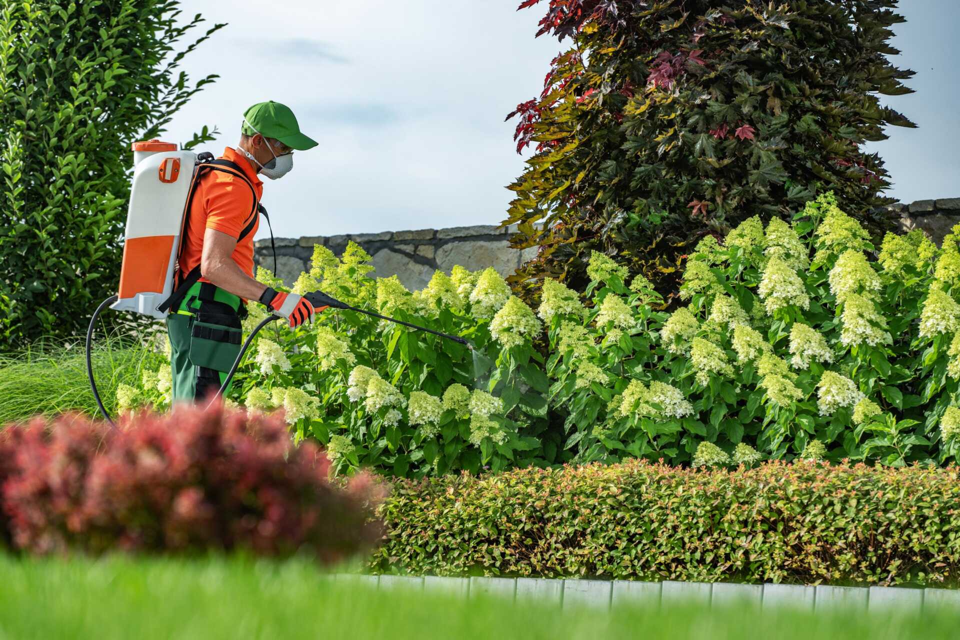 Top Professional Outdoor Pest Control Services for Landscaping