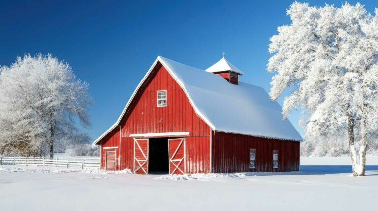 What Are the Best Tips for Winterizing Outdoor Storage Sheds?