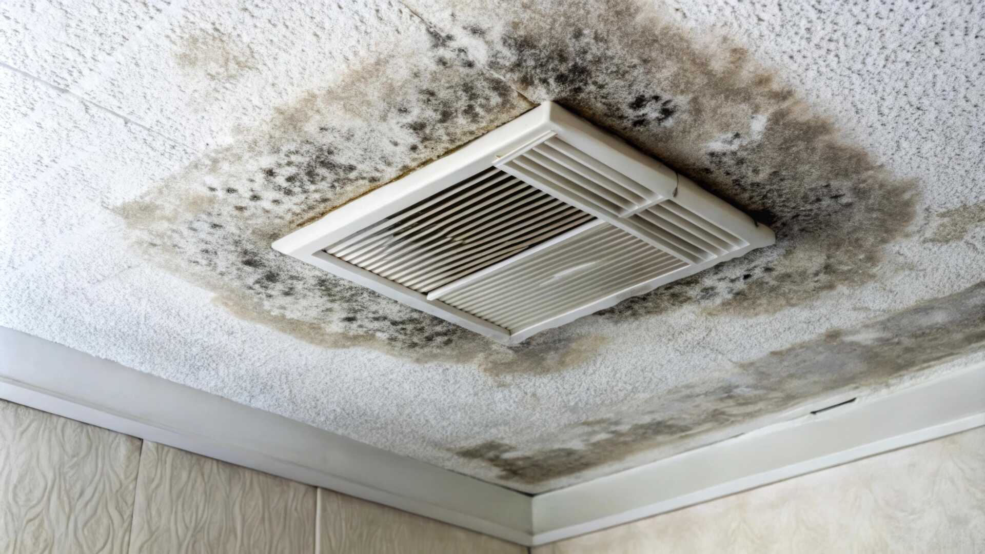 Why Are Regular Inspections Crucial for Preventing Mold?