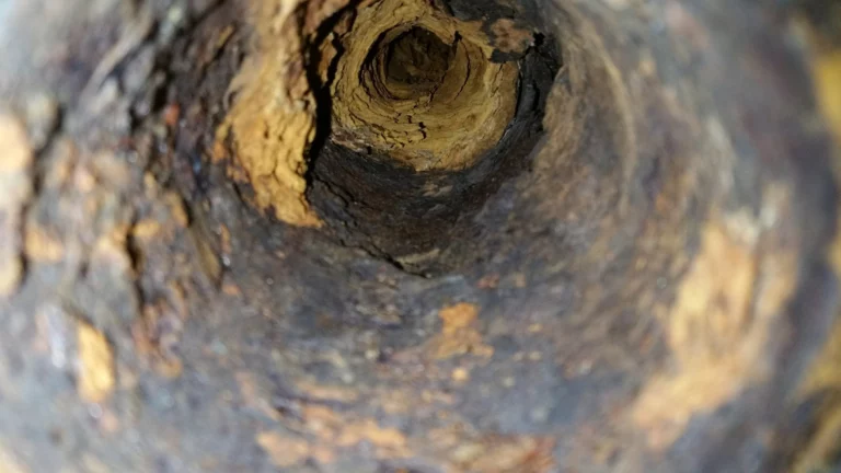 Cracked Sewer Pipe, with mold in in.