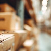 Holistic Approaches to Pest Management in Restoration