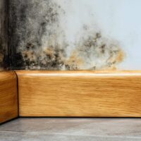 Black mold growing on a corner wall above wooden baseboards and tiled floor.