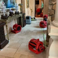 Top Value Water Damage Repair Services Reviewed