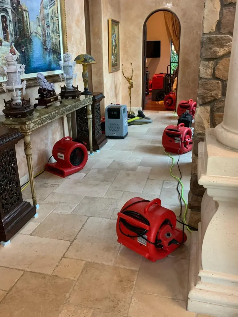 Top Value Water Damage Repair Services Reviewed