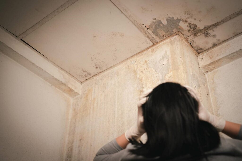 Swift Mold Solutions After Roof Leaks