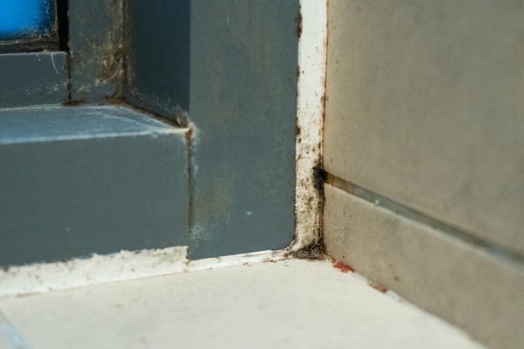Corner of a tiled floor and wall with visible mold and dirt buildup.