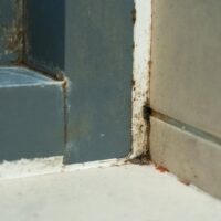 Corner of a tiled floor and wall with visible mold and dirt buildup.