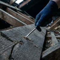 Hand in glove using a screwdriver to pry damaged wood in an attic.