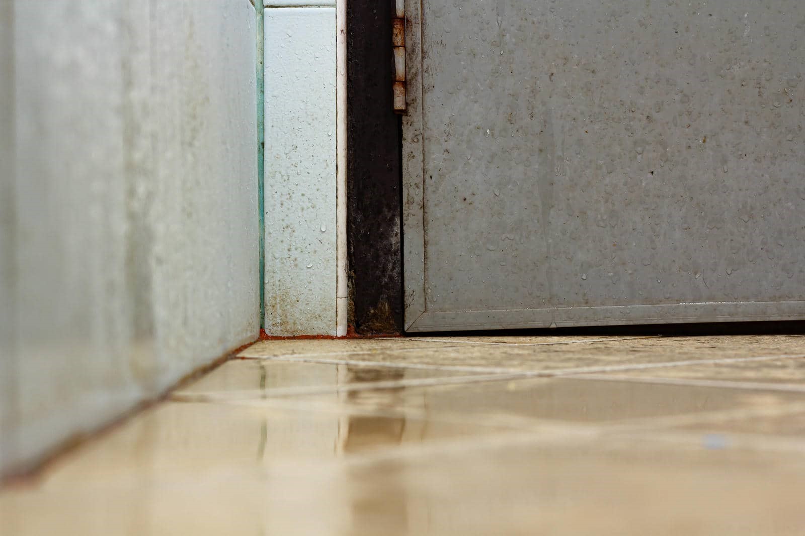 Close-up of a wet tiled floor corner next to a metal door and wall with water droplets.