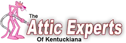 Attic Experts logo